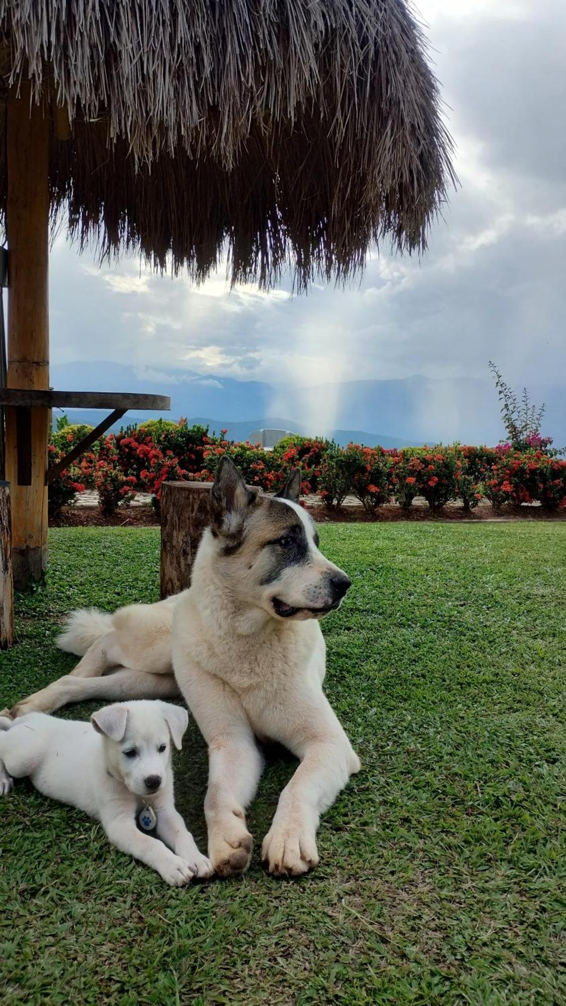 Nalua Glamping Y Hotel San Jeronimo  Exterior photo